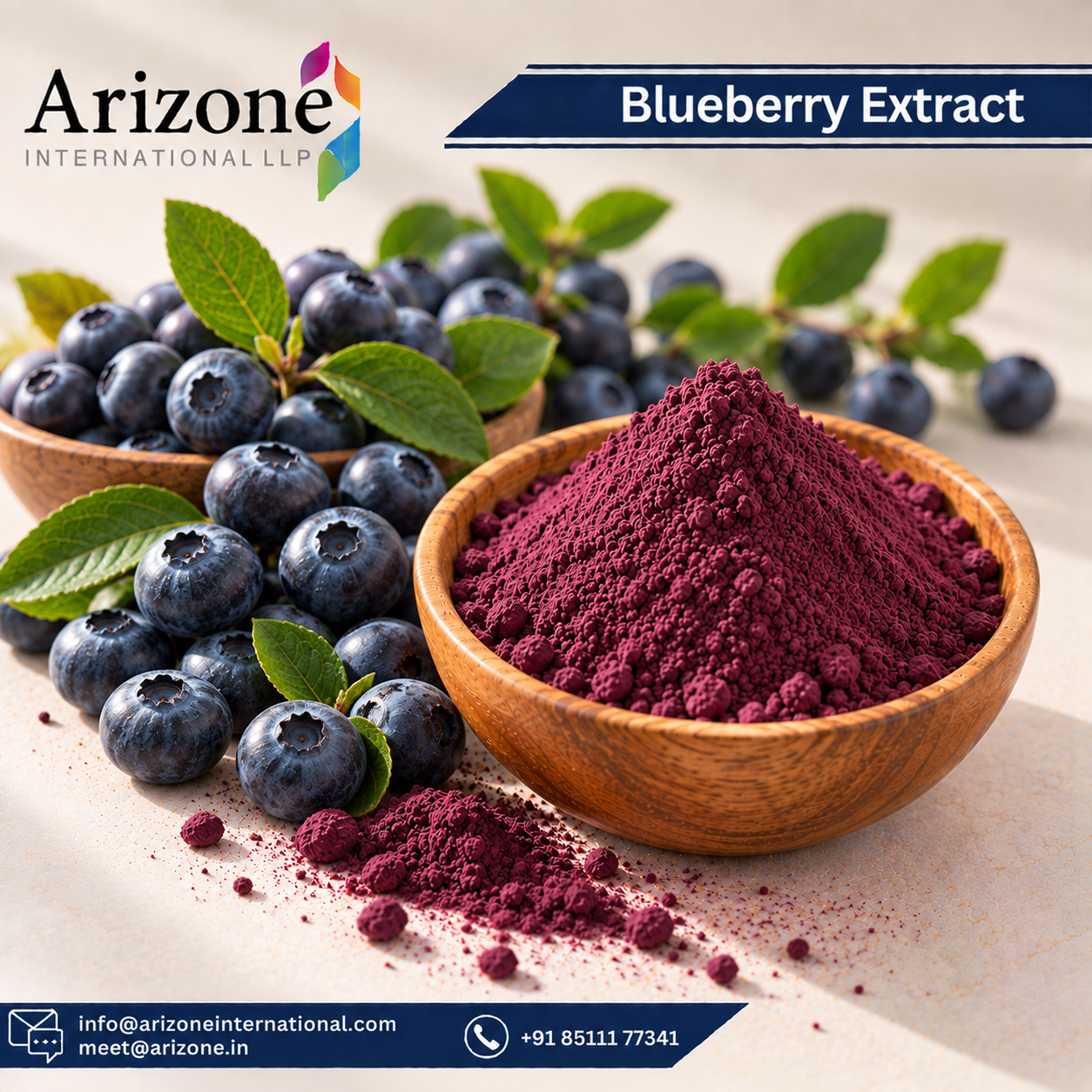 Blueberry Extract