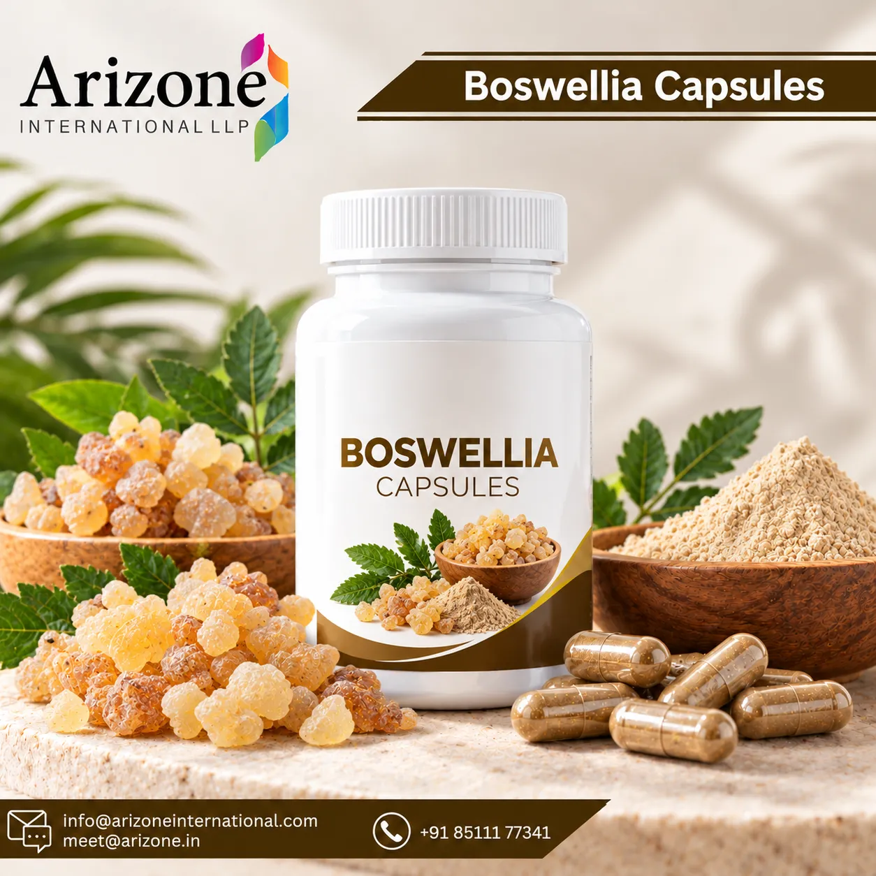 Boswellia Capsules photo
