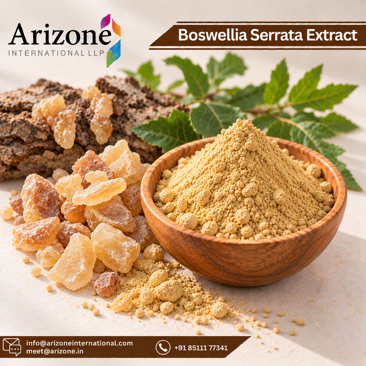 Boswellia Serrata Extract