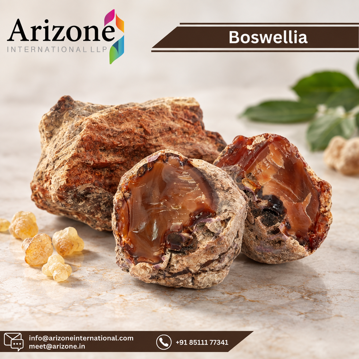 Boswellia Serrata Powder photo 3