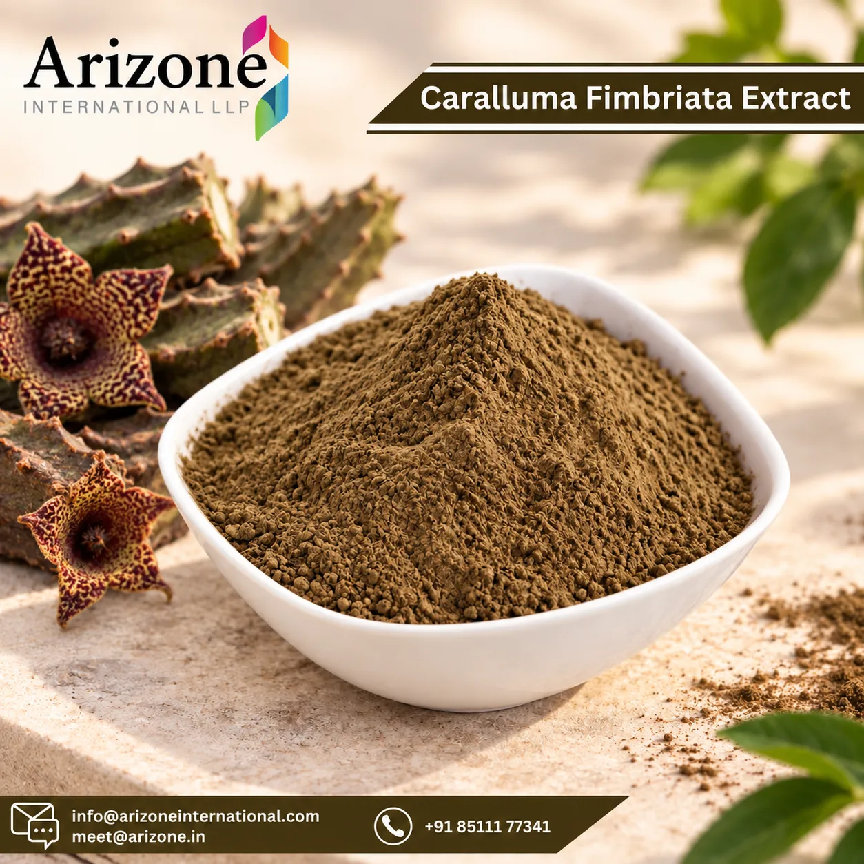 Caralluma Fimbriata Extract photo