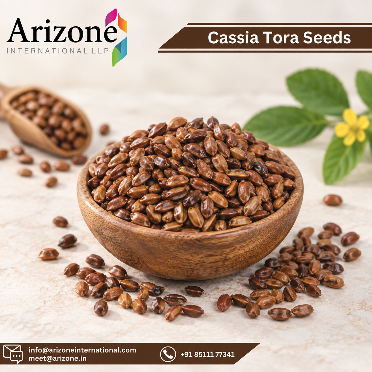 Cassia Tora Seed