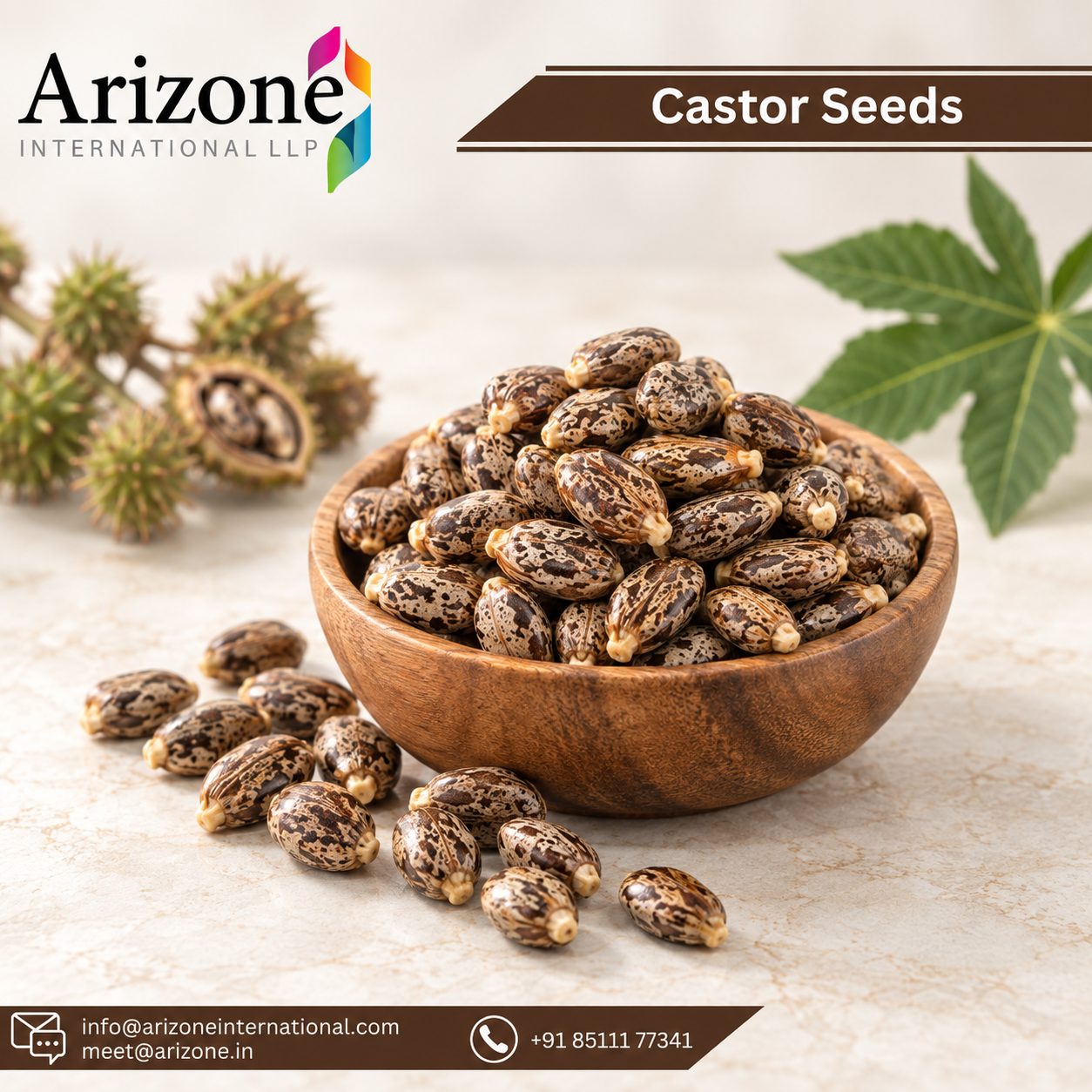 Castor Seed