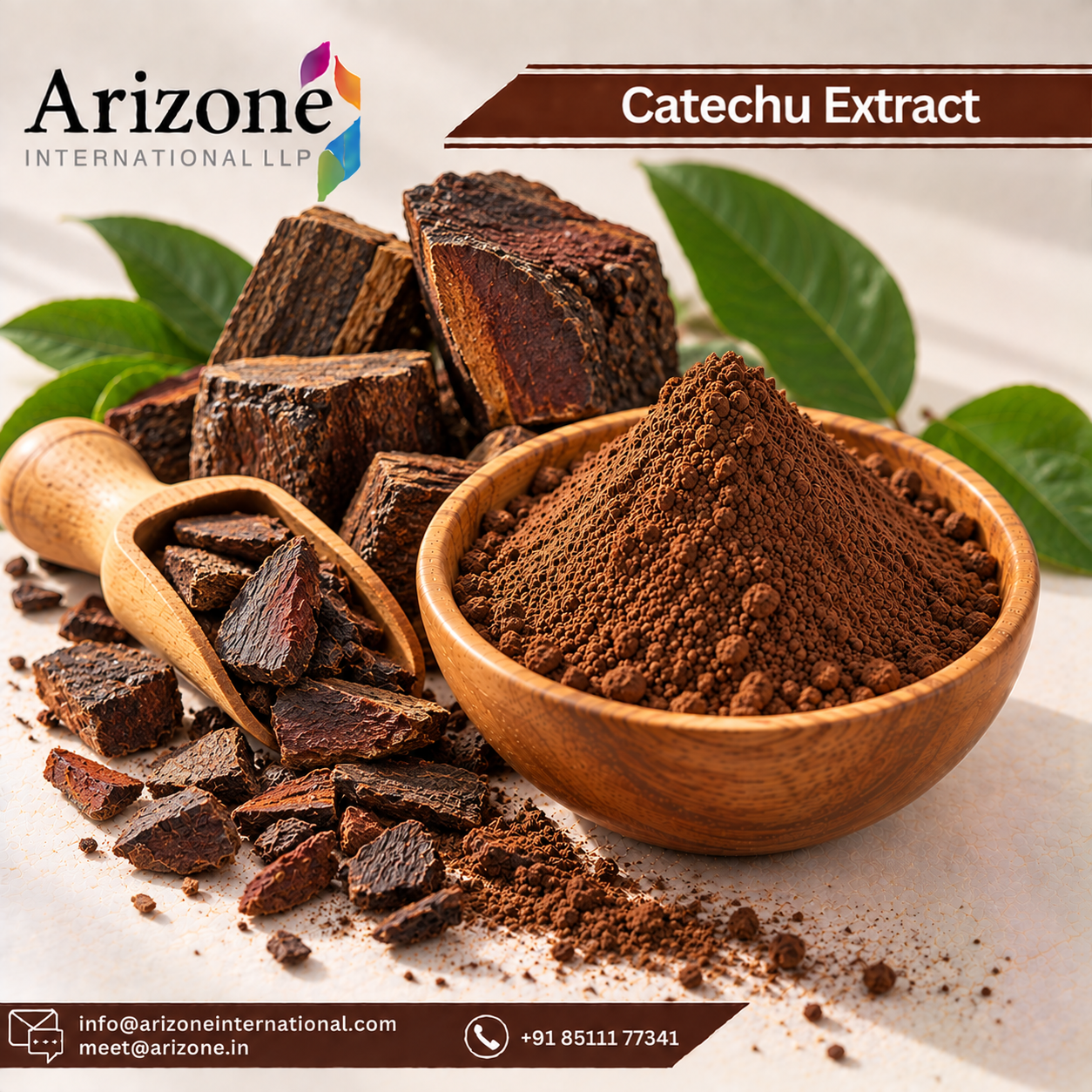 Catechu Extract