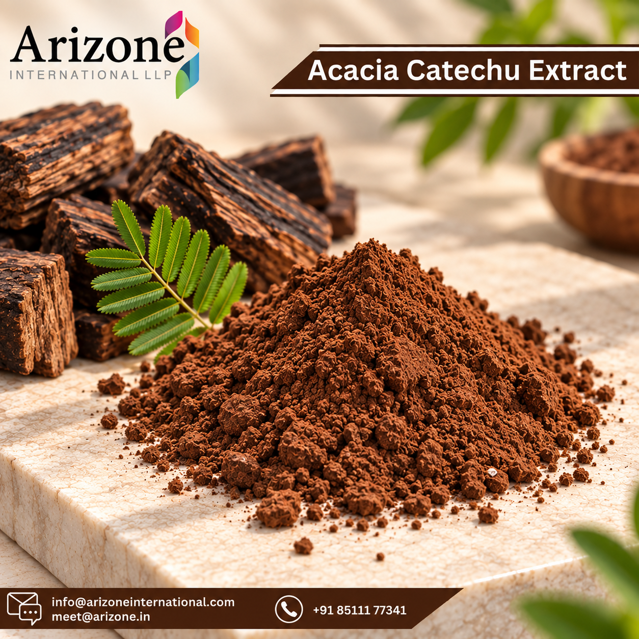Catechu Extract photo 2
