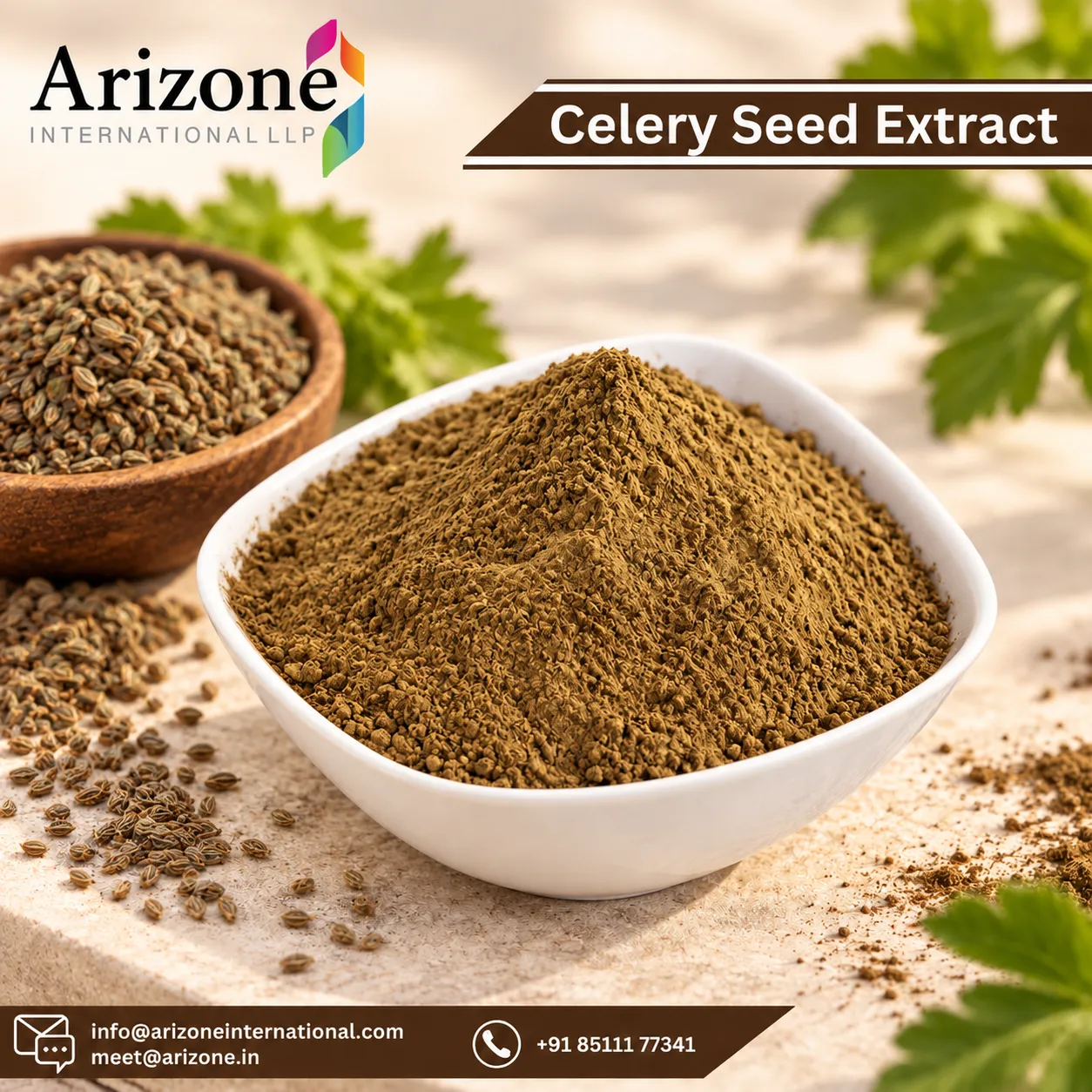 Celery Seed Extract