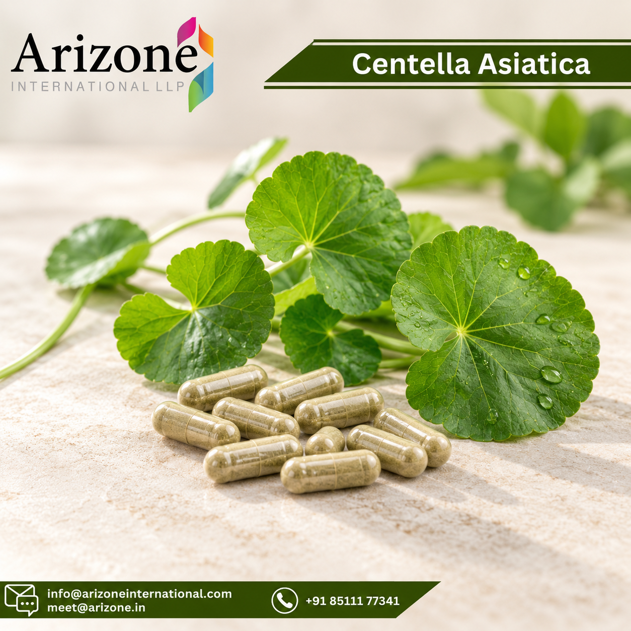 Centella Asiatica Capsules