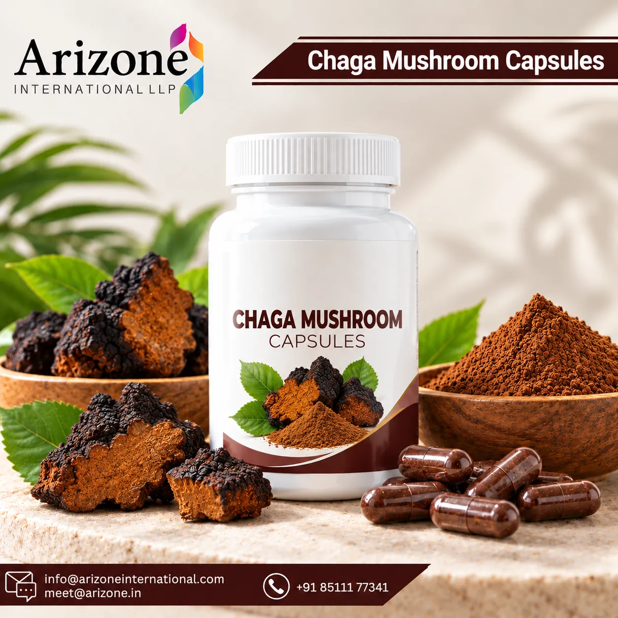 Chaga Mushroom Capsules