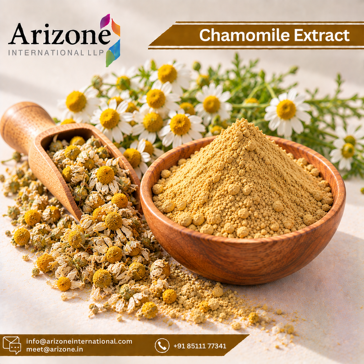 Chamomile Extract