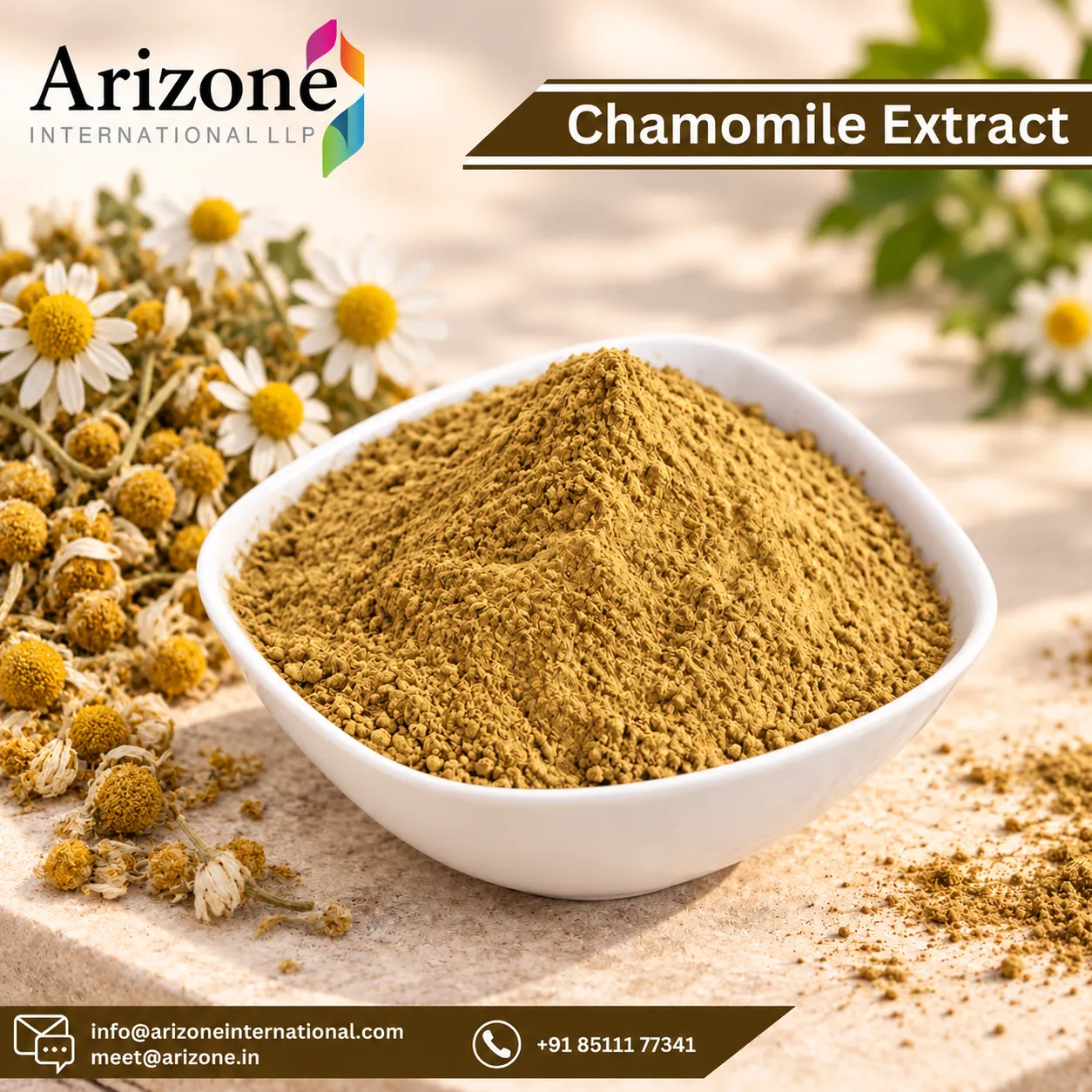 Chamomile Extract