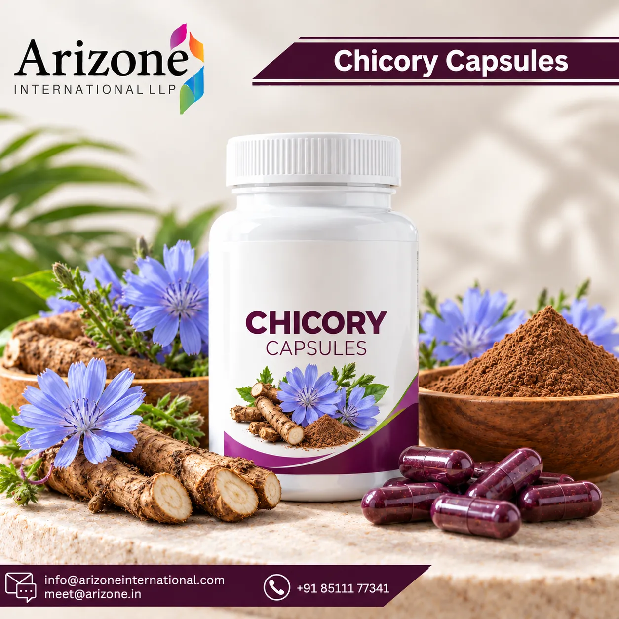 Chicory Capsules photo