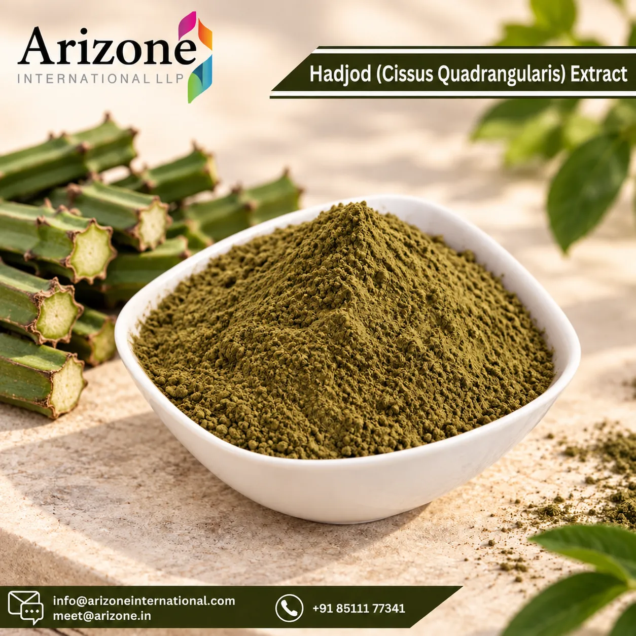 Hadjod (Cissus Quadrangularis) Extract photo