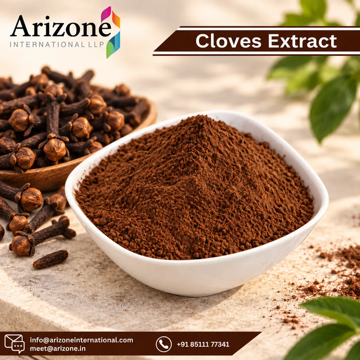 Cloves Extract