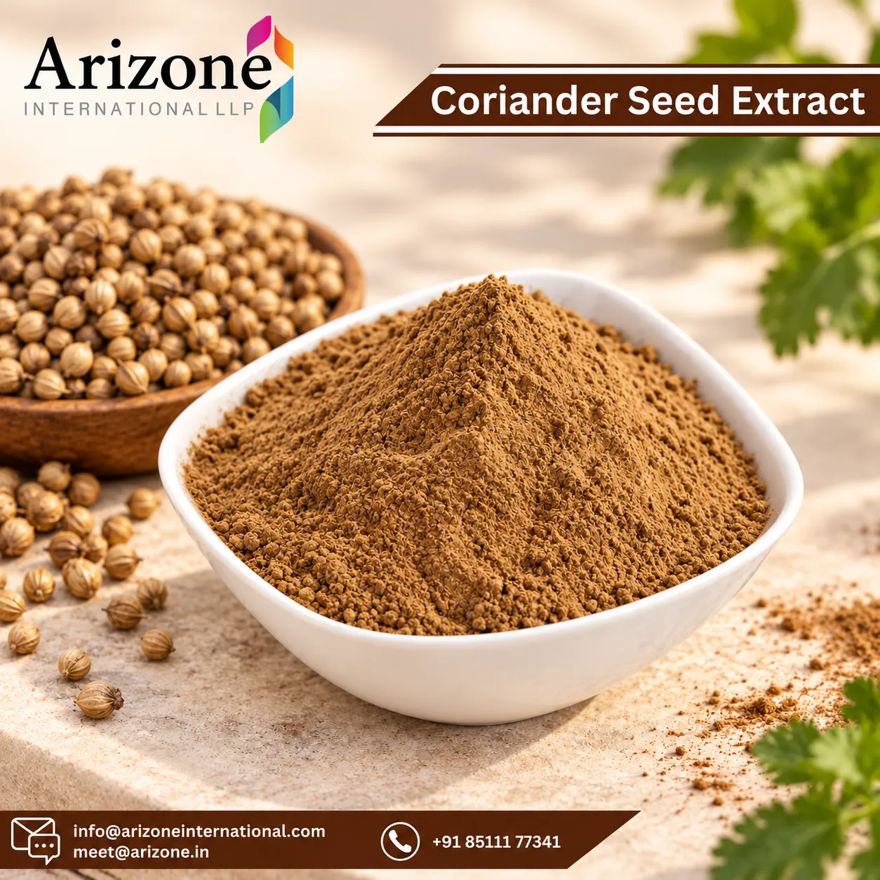 Coriander Seed Extract photo 1