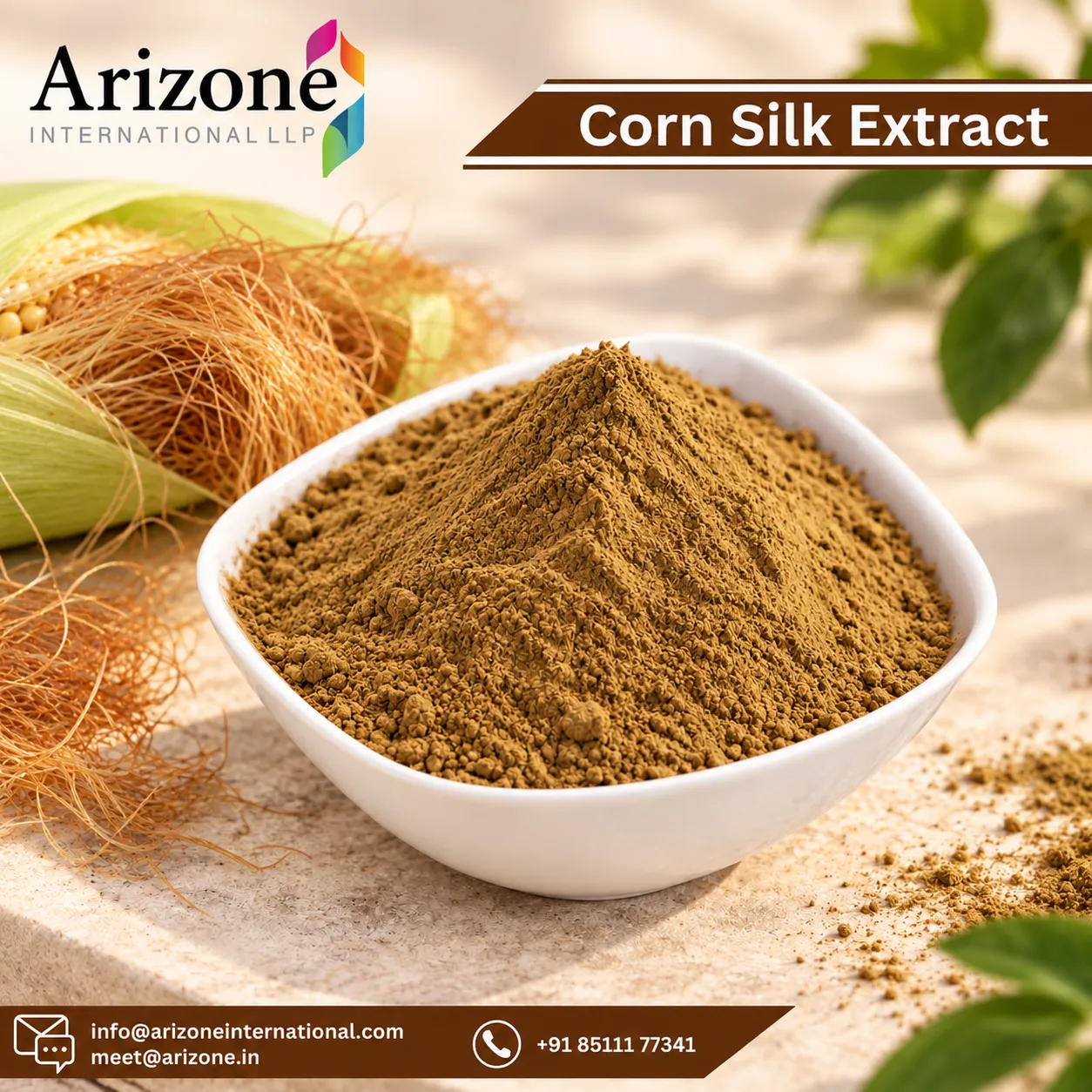 Corn Silk Extract