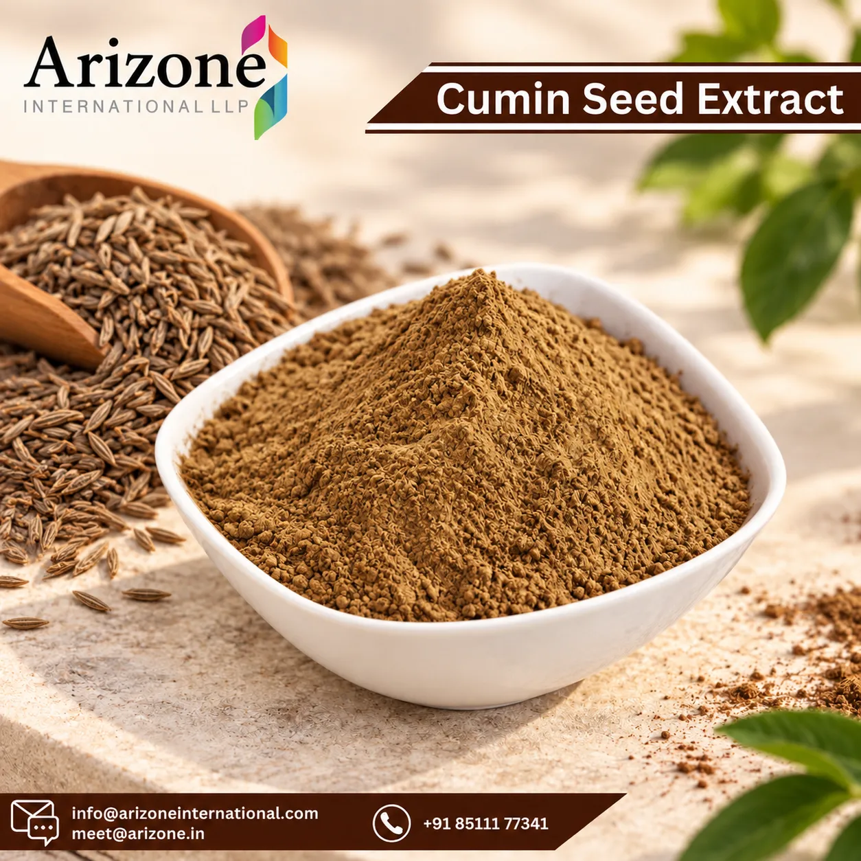 Cumin Seed Extract