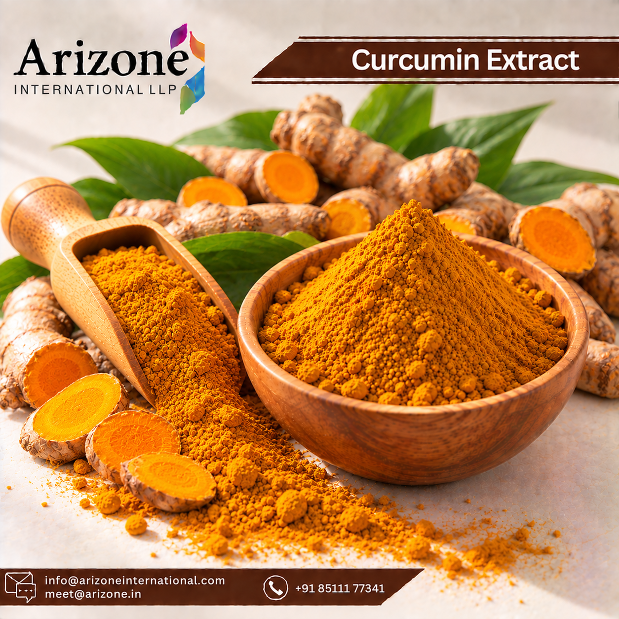 Curcumin Extract