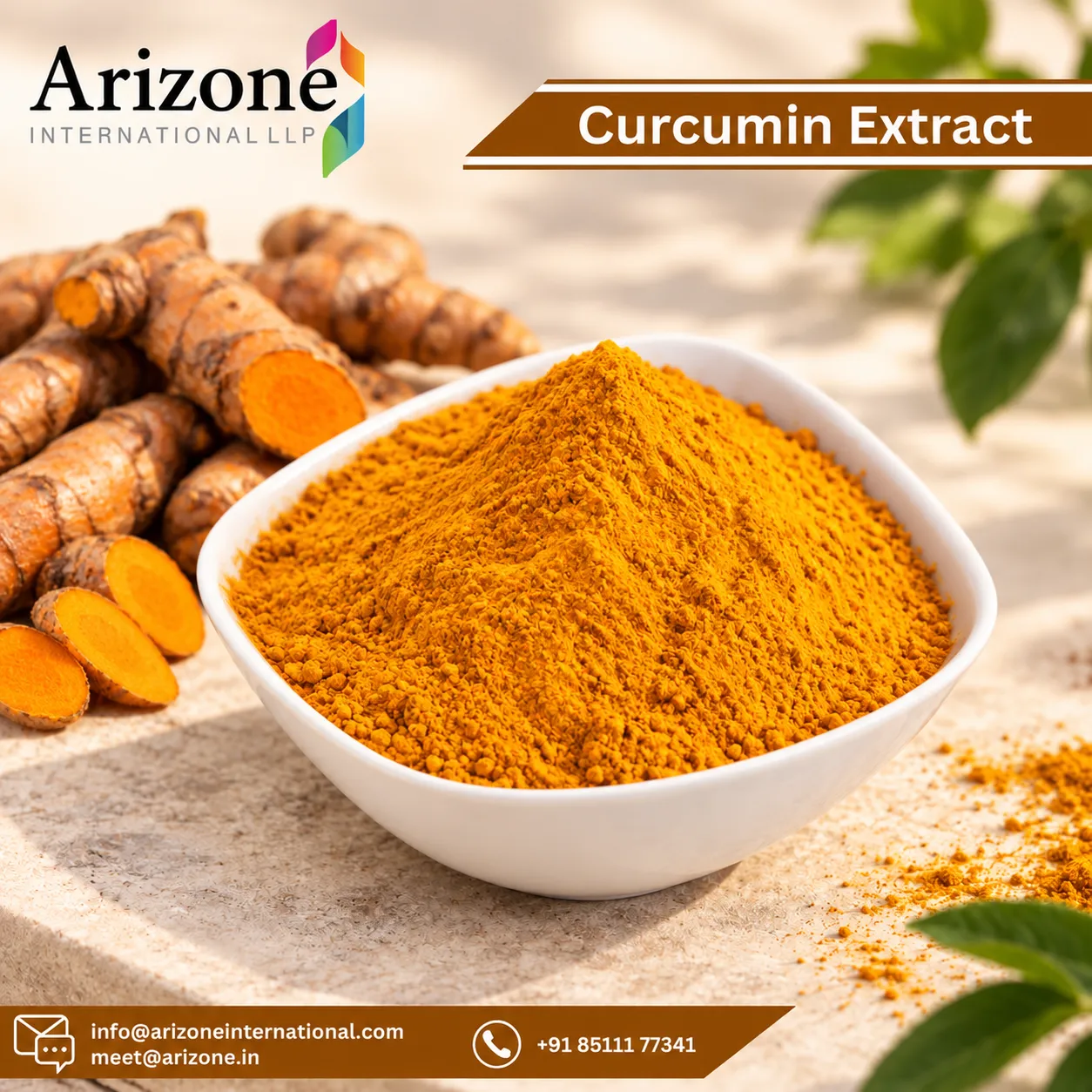 Curcumin Extract