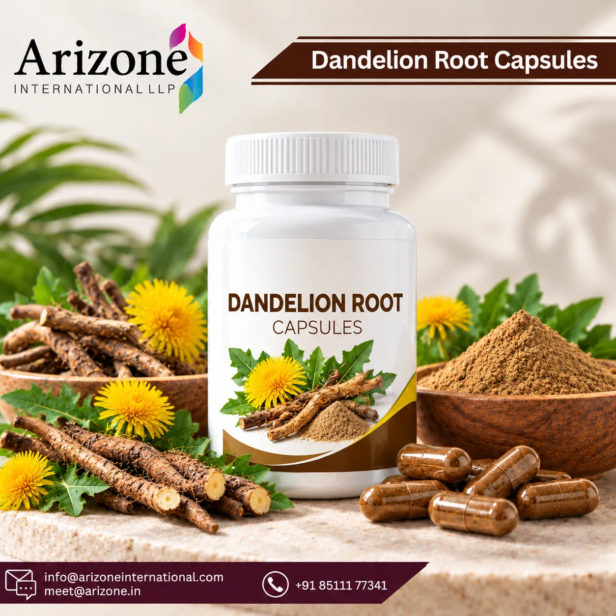 Dandelion Root Capsules photo