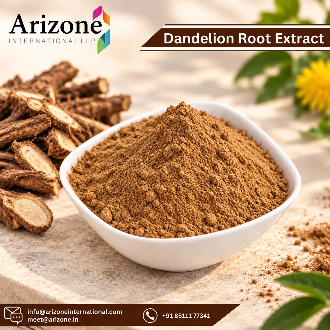 Dandelion Root Extract