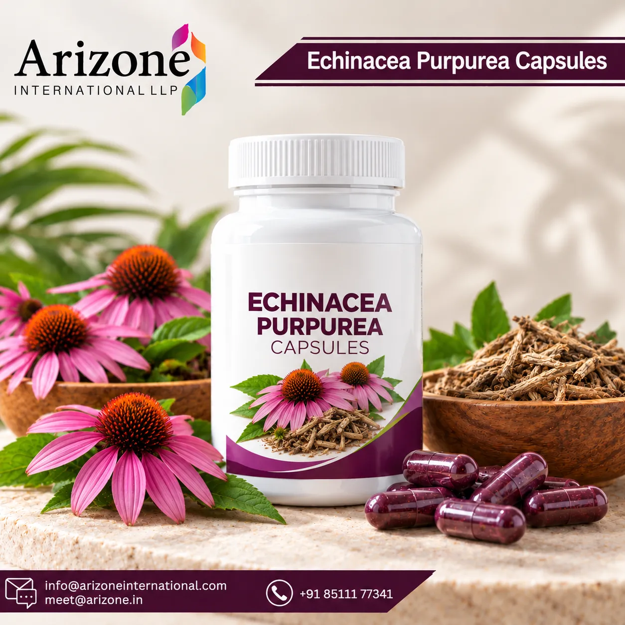 Echinacea Purpurea Capsules