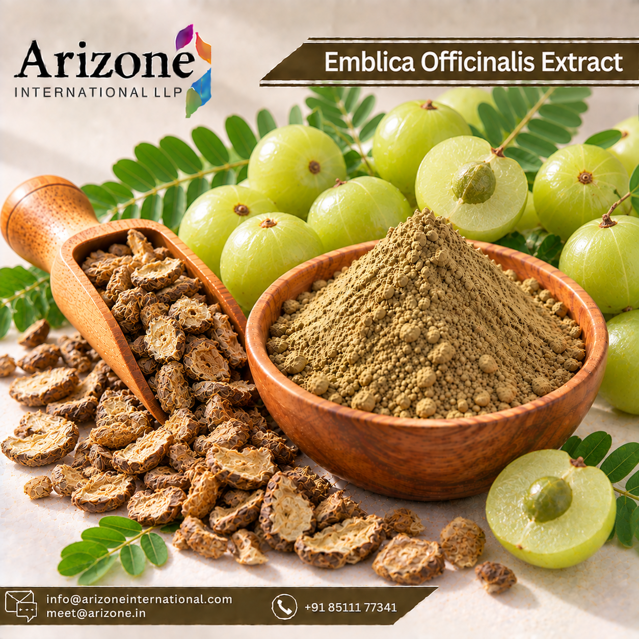 Emblica Officinalis Extract