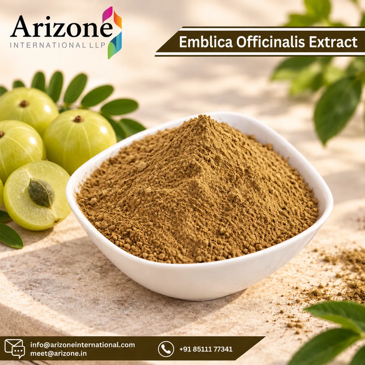 Emblica Officinalis Extract