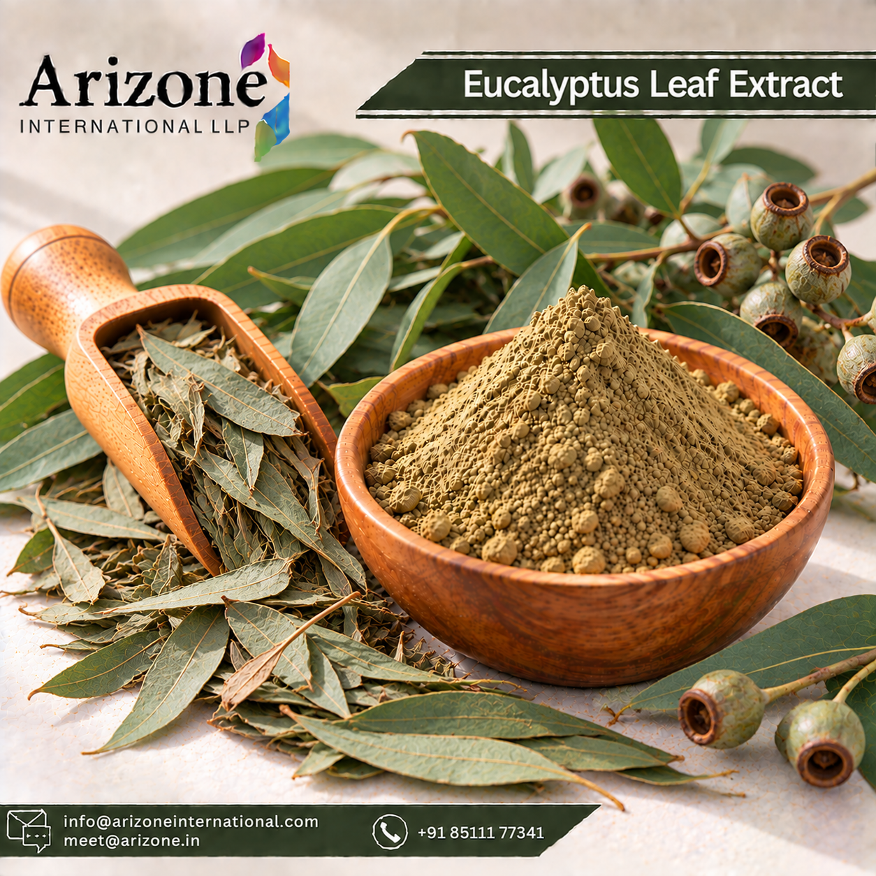Eucalyptus Leaf Extract