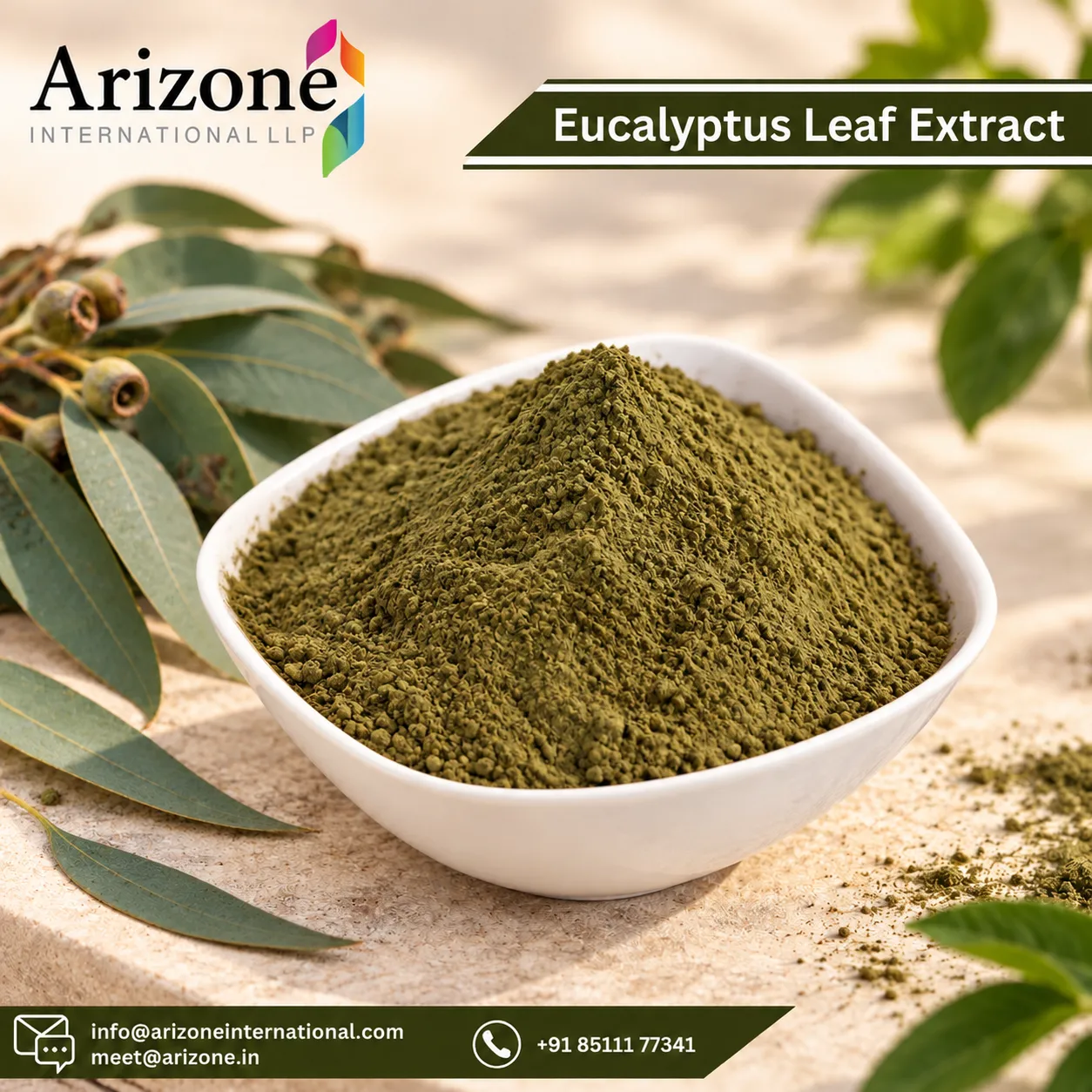 Eucalyptus Leaf Extract