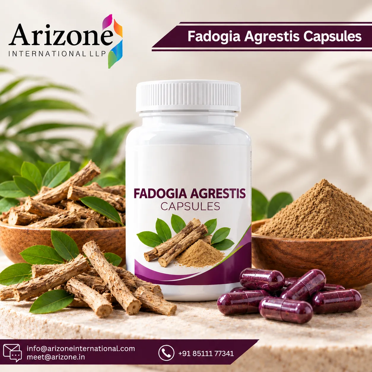 Fadogia Agrestis Capsules