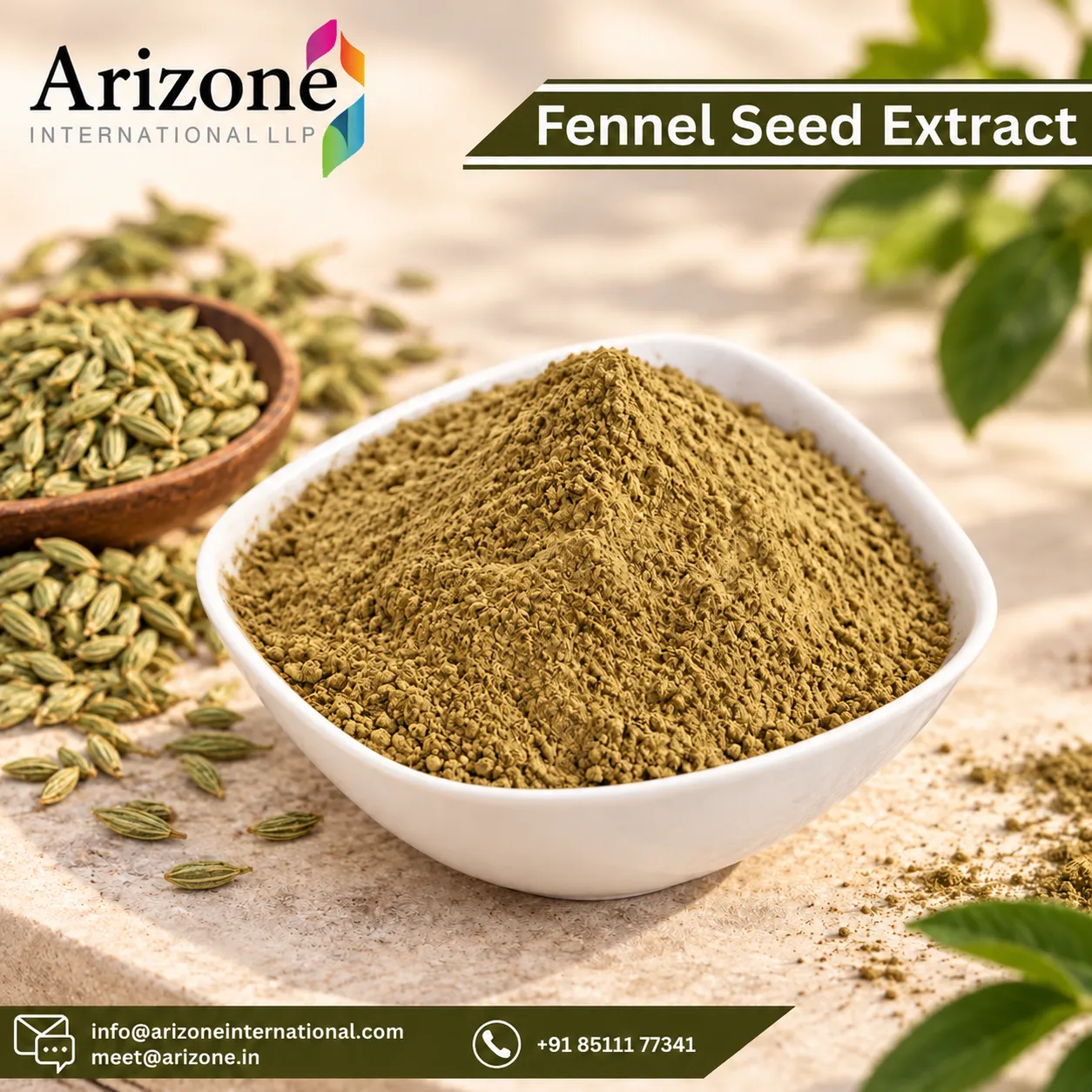 Fennel Seed Extract