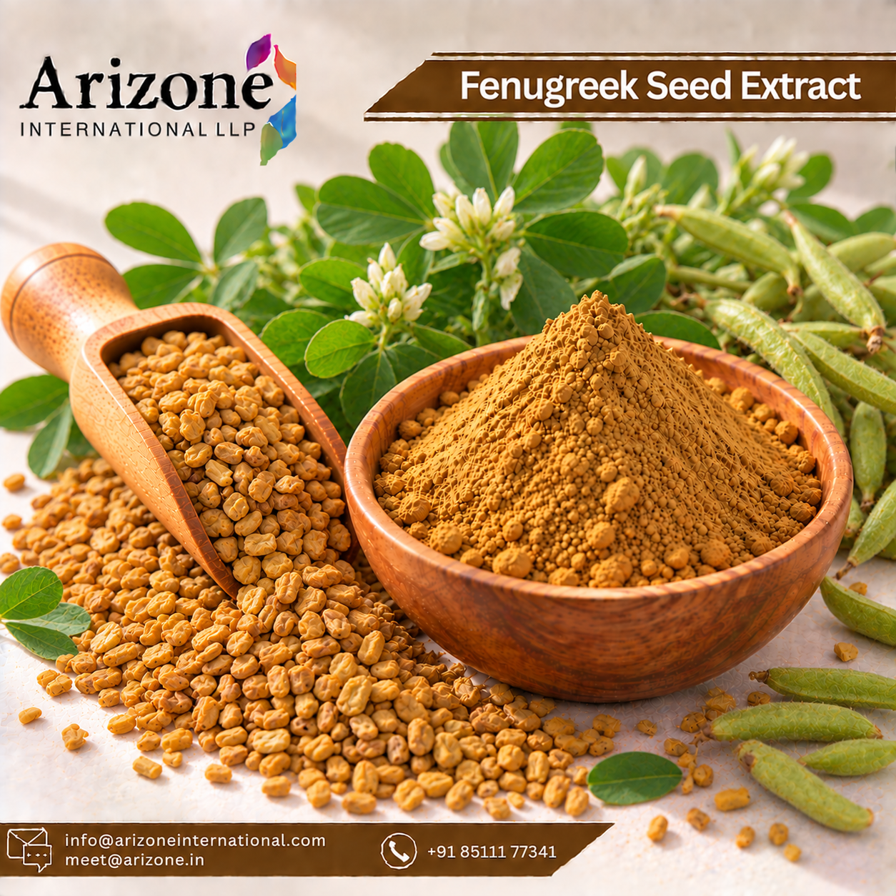 Fenugreek Seed Extract