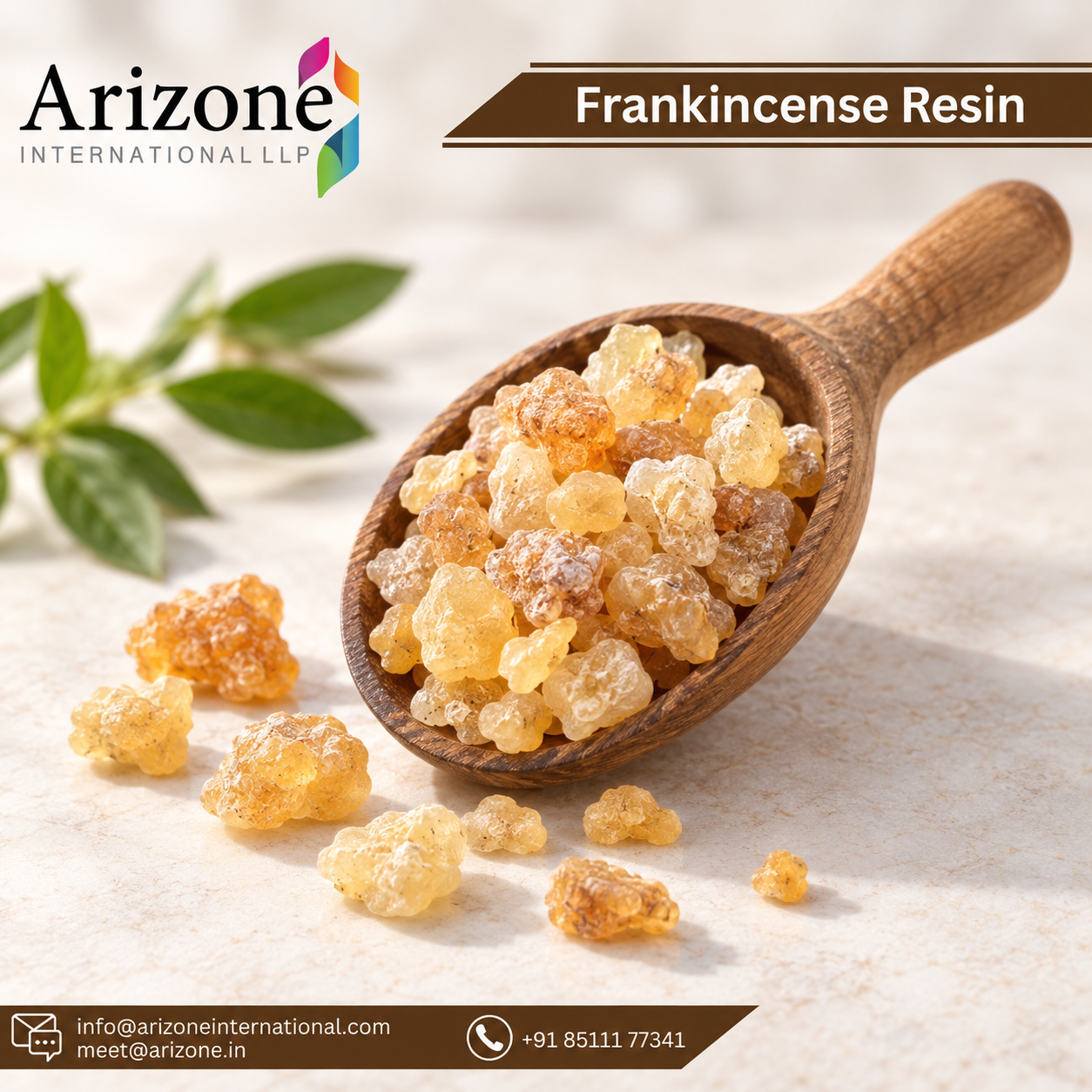 Frankincense Oil photo 3