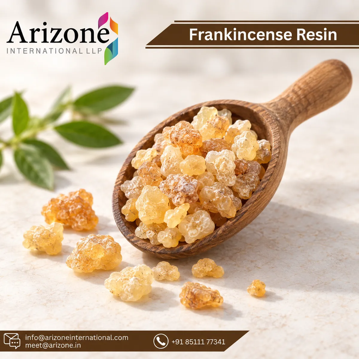 Frankincense Oil photo 3