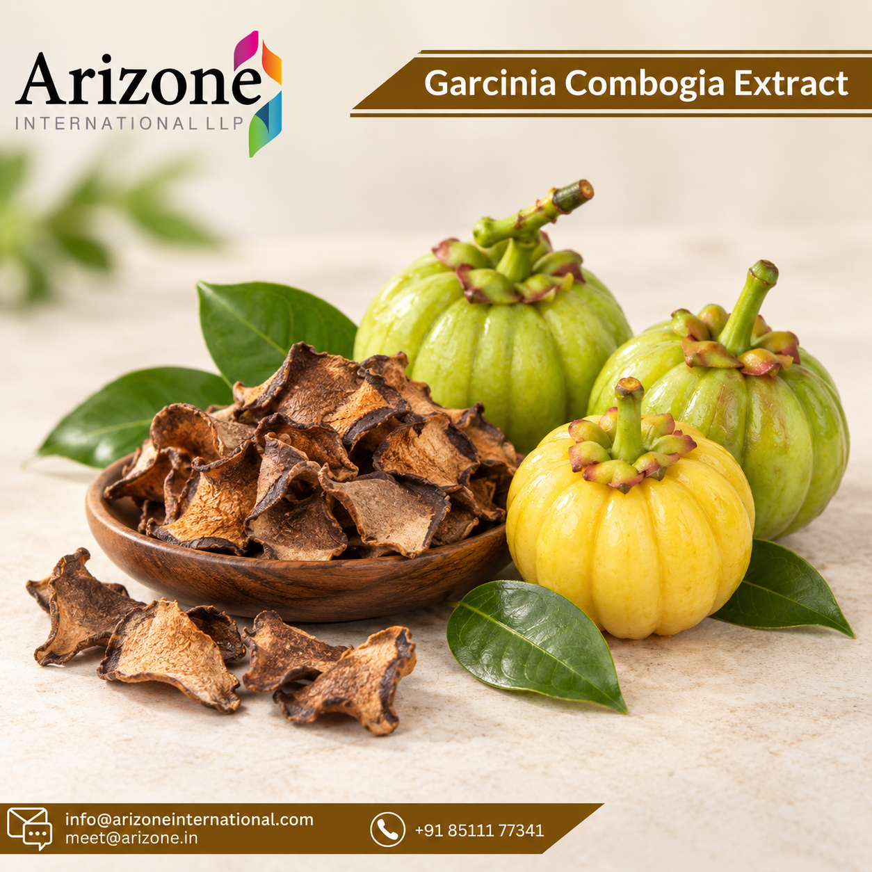 Garcinia Cambogia Extract photo 3