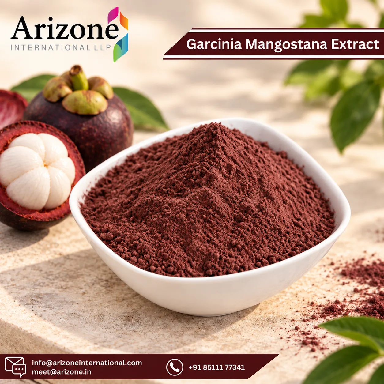Garcinia Mangostana Extract photo