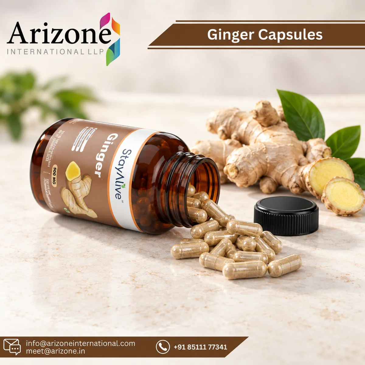Ginger Capsules photo 3