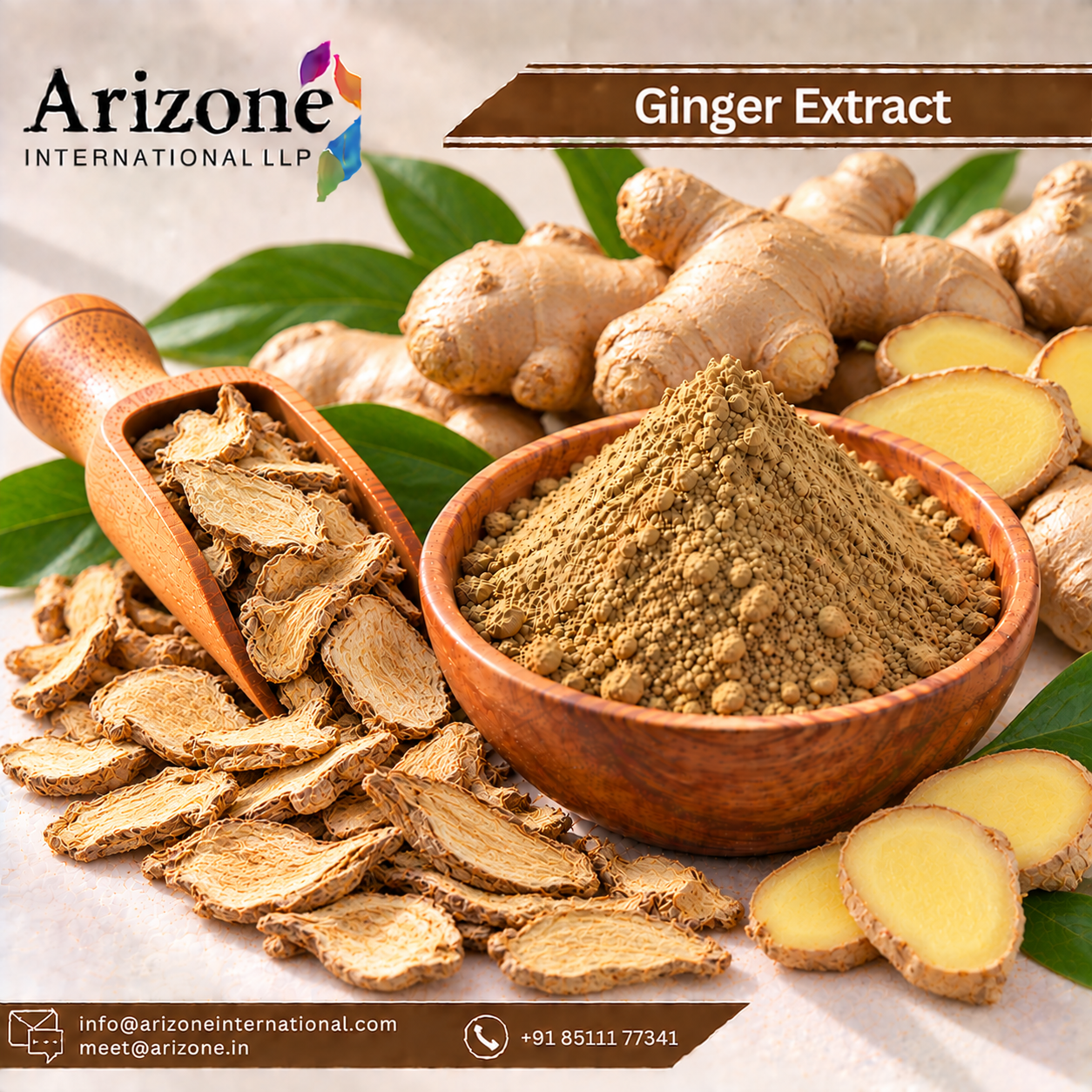 Ginger Extract