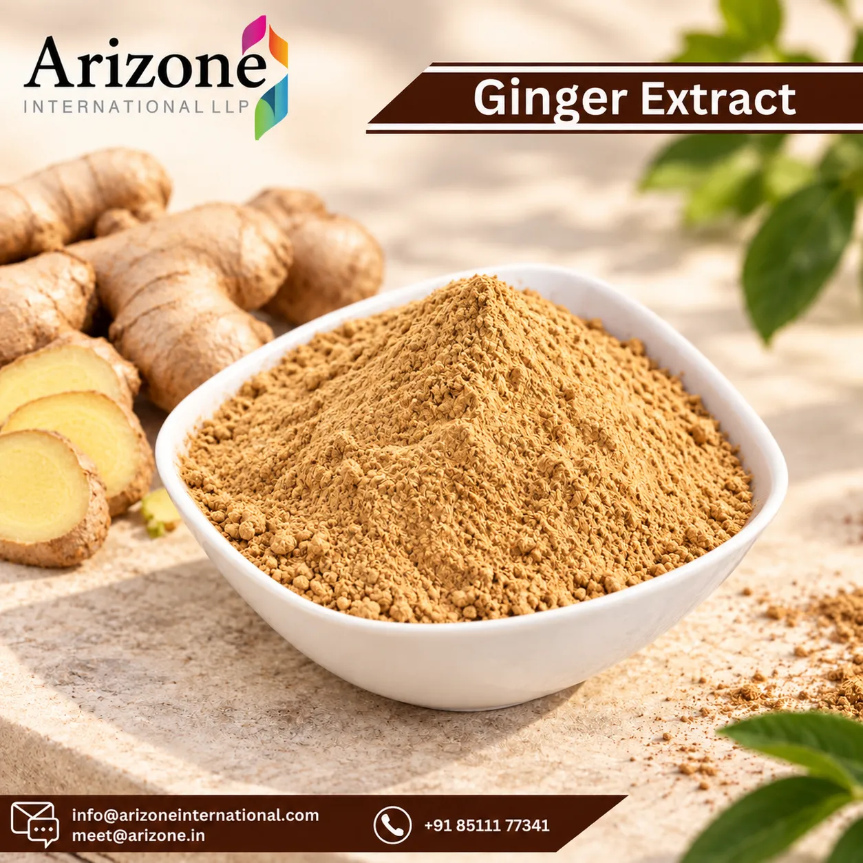 Ginger root extract powder