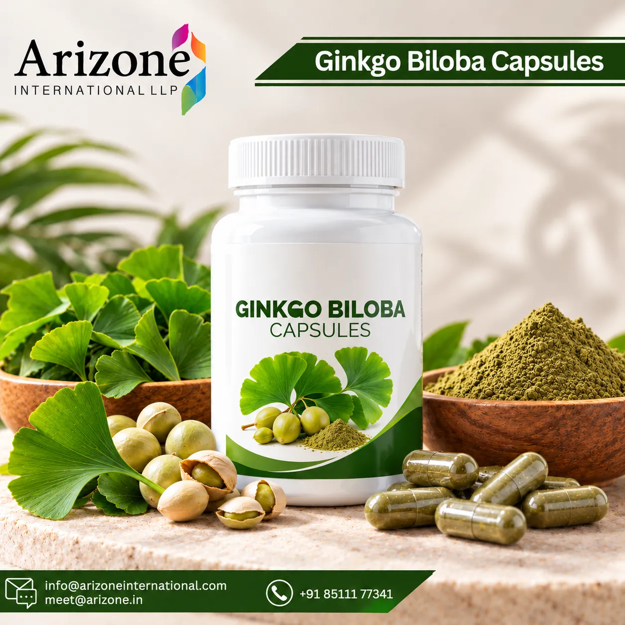 Ginkgo Biloba Capsules photo