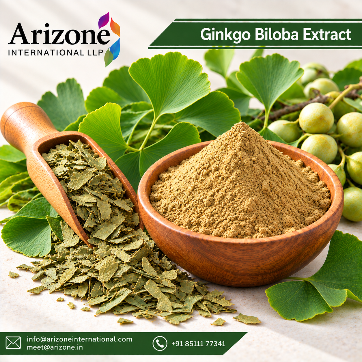 Ginkgo Biloba Extract