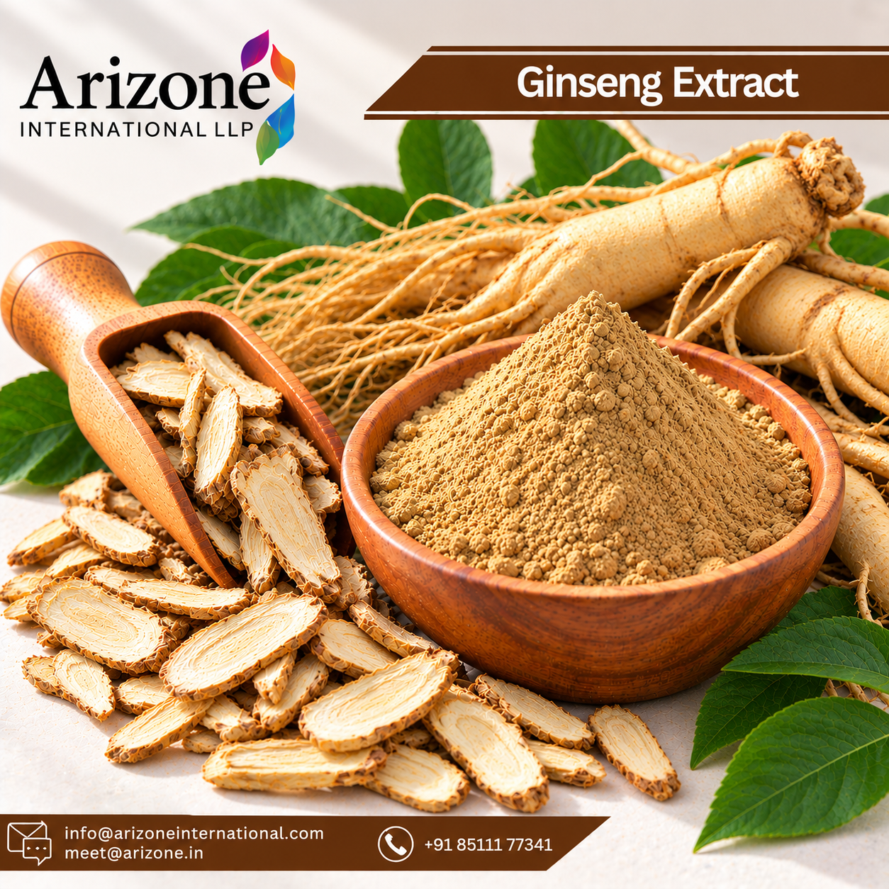 Ginseng Extract