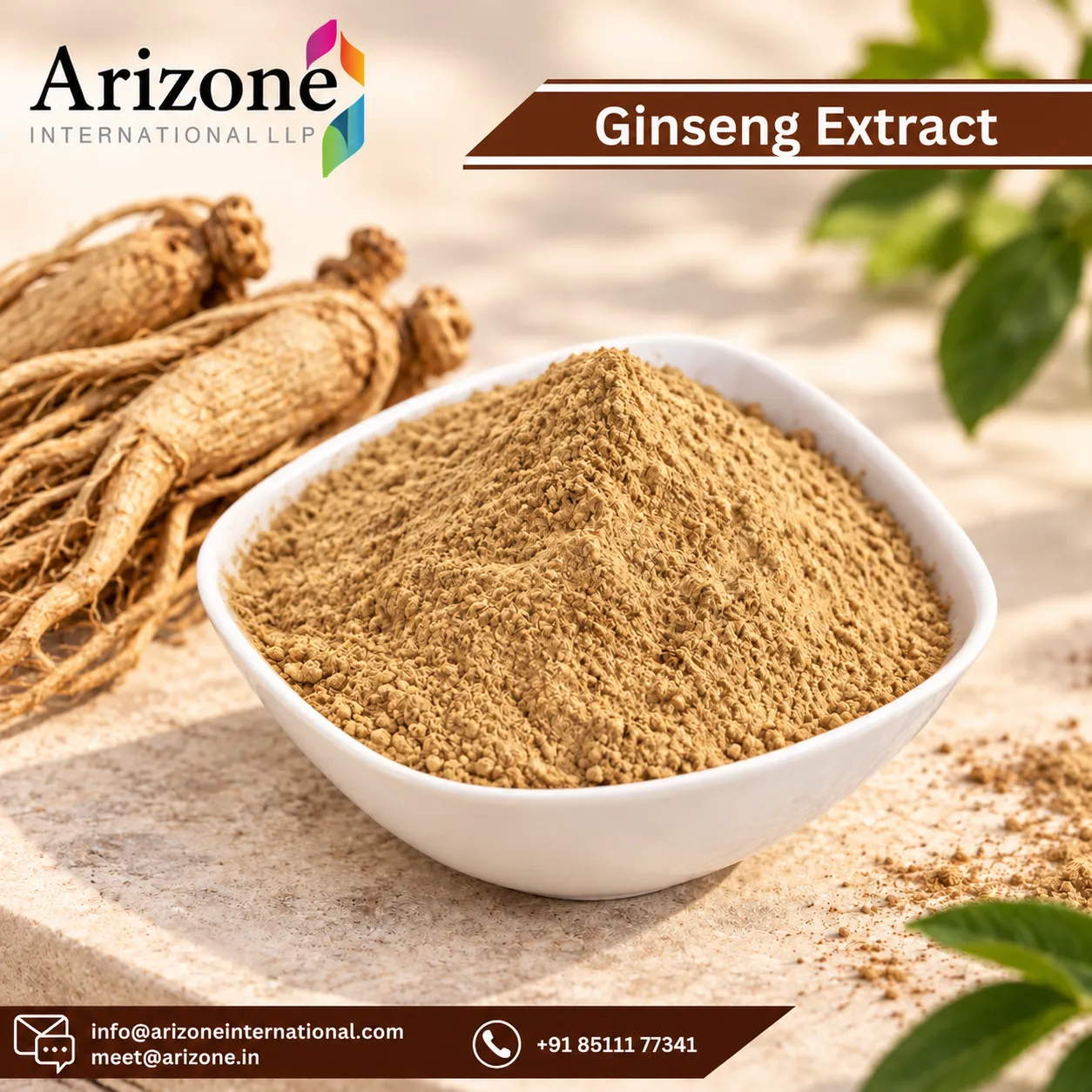 Ginseng Extract