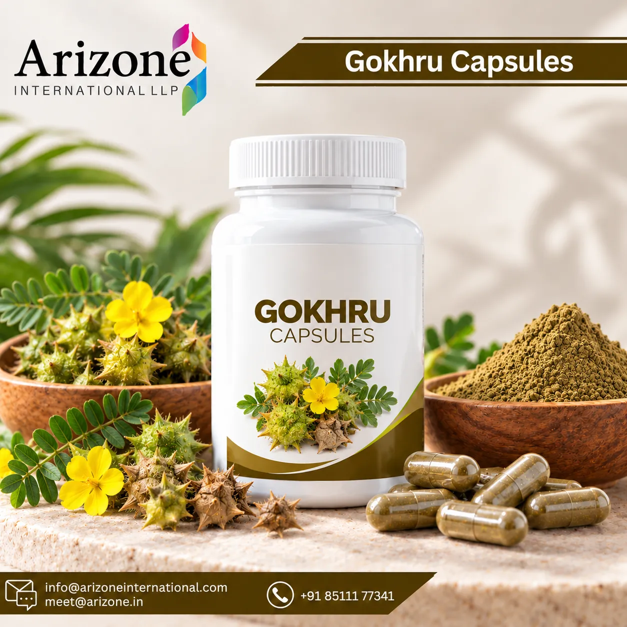 Gokhru Capsules