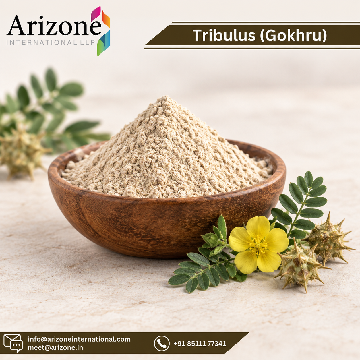 Gokhru Powder Gokshura photo 3