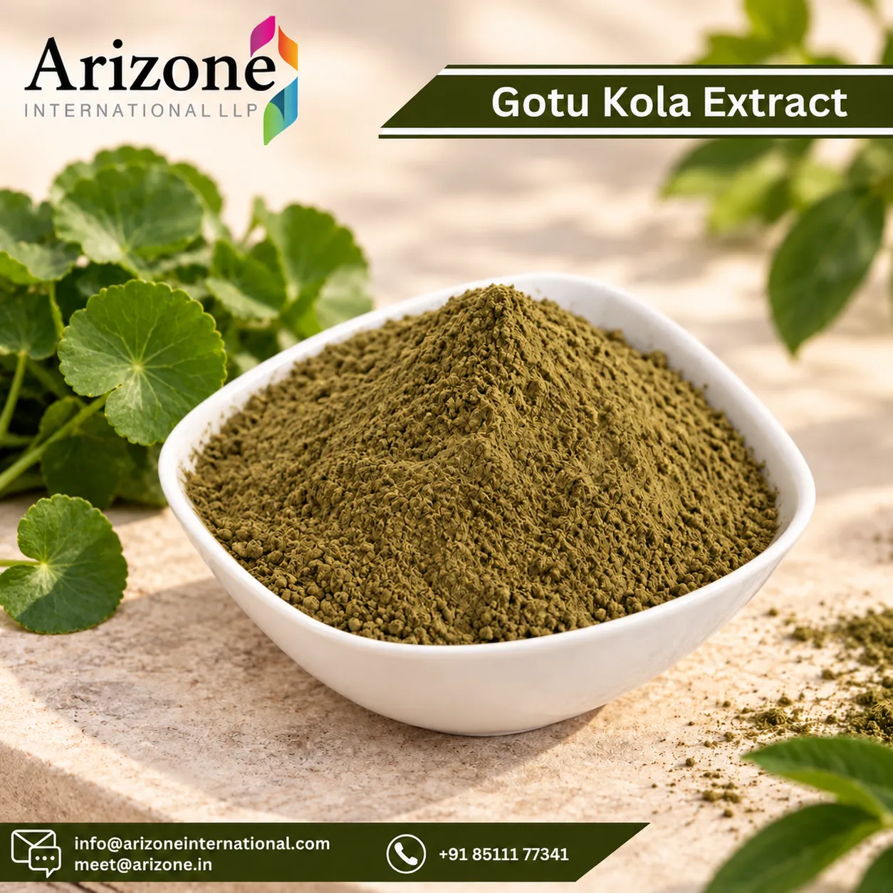 Gotu kola (Centella asiatica) extract for skincare formulations
