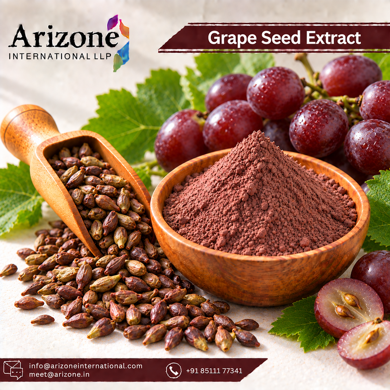 Grape Seed Extract
