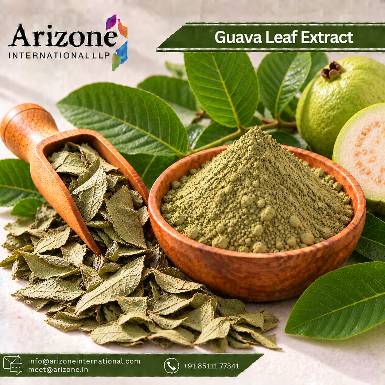Guava Leaf Extract