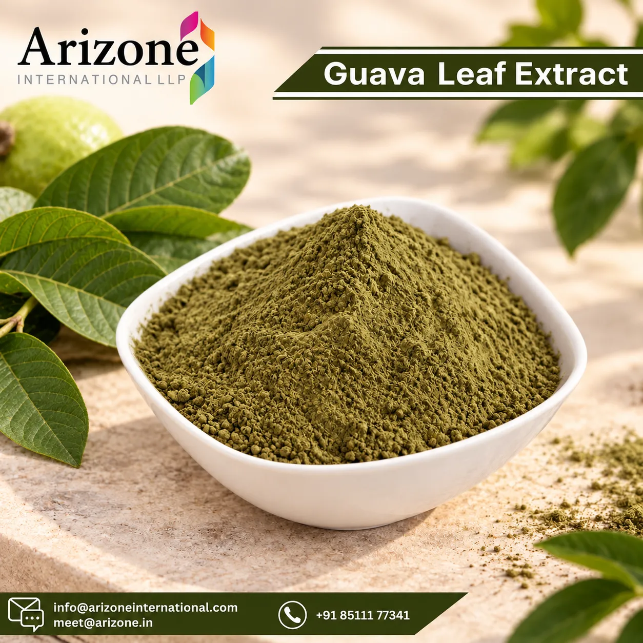 Guava Leaf Extract
