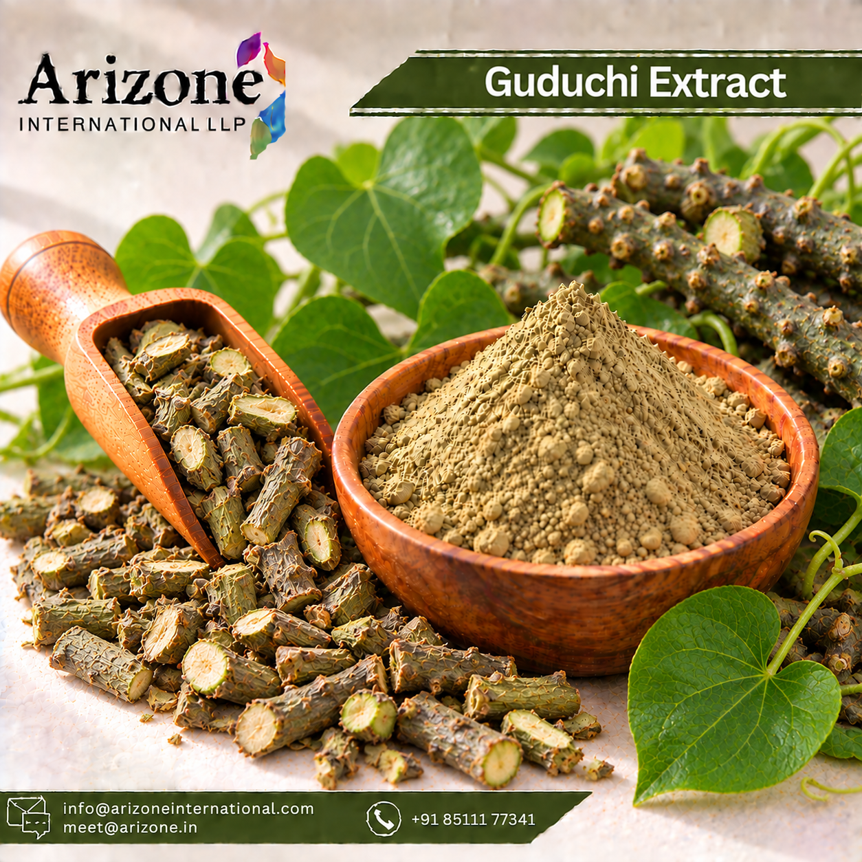 Guduchi Extract